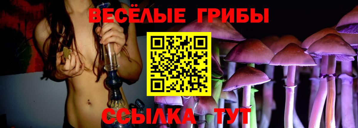 наркота  Галлюциногенные грибы Psilocybe  Вход с VPN  Барнаул 