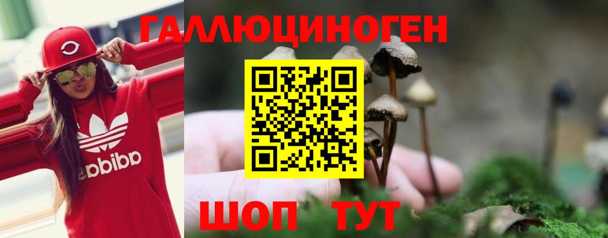 Галлюциногенные грибы мицелий Барнаул